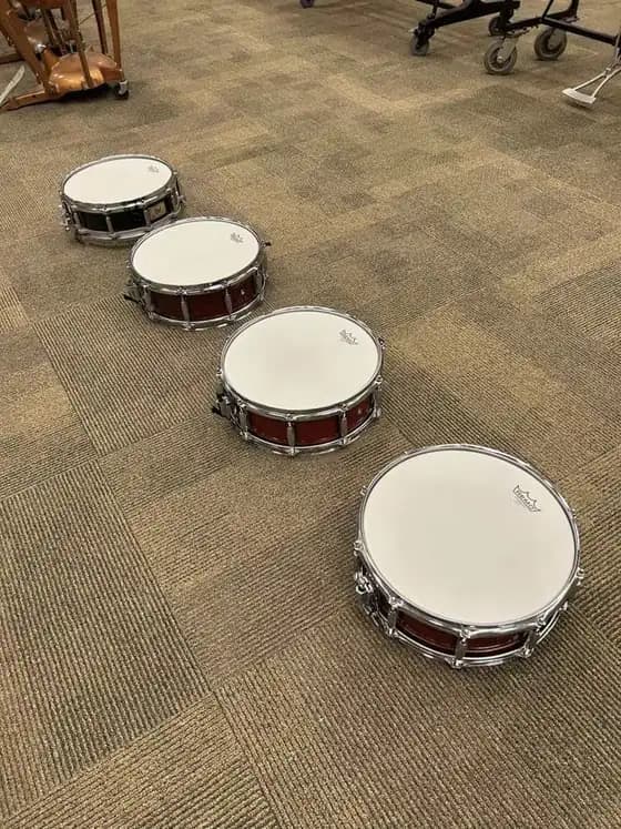 The same row of concert snare drums after service, fresh white heads on every drum