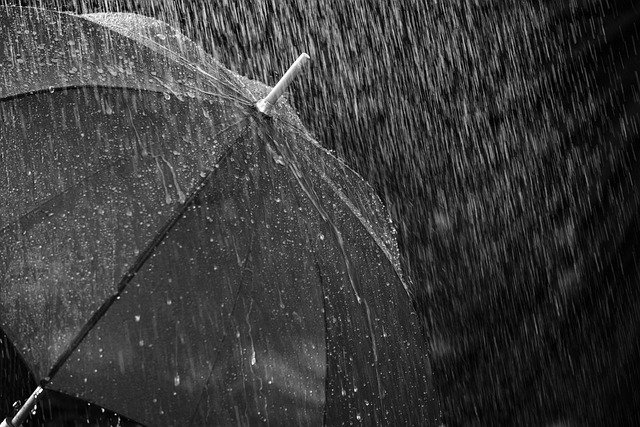 Black umbrella in rain