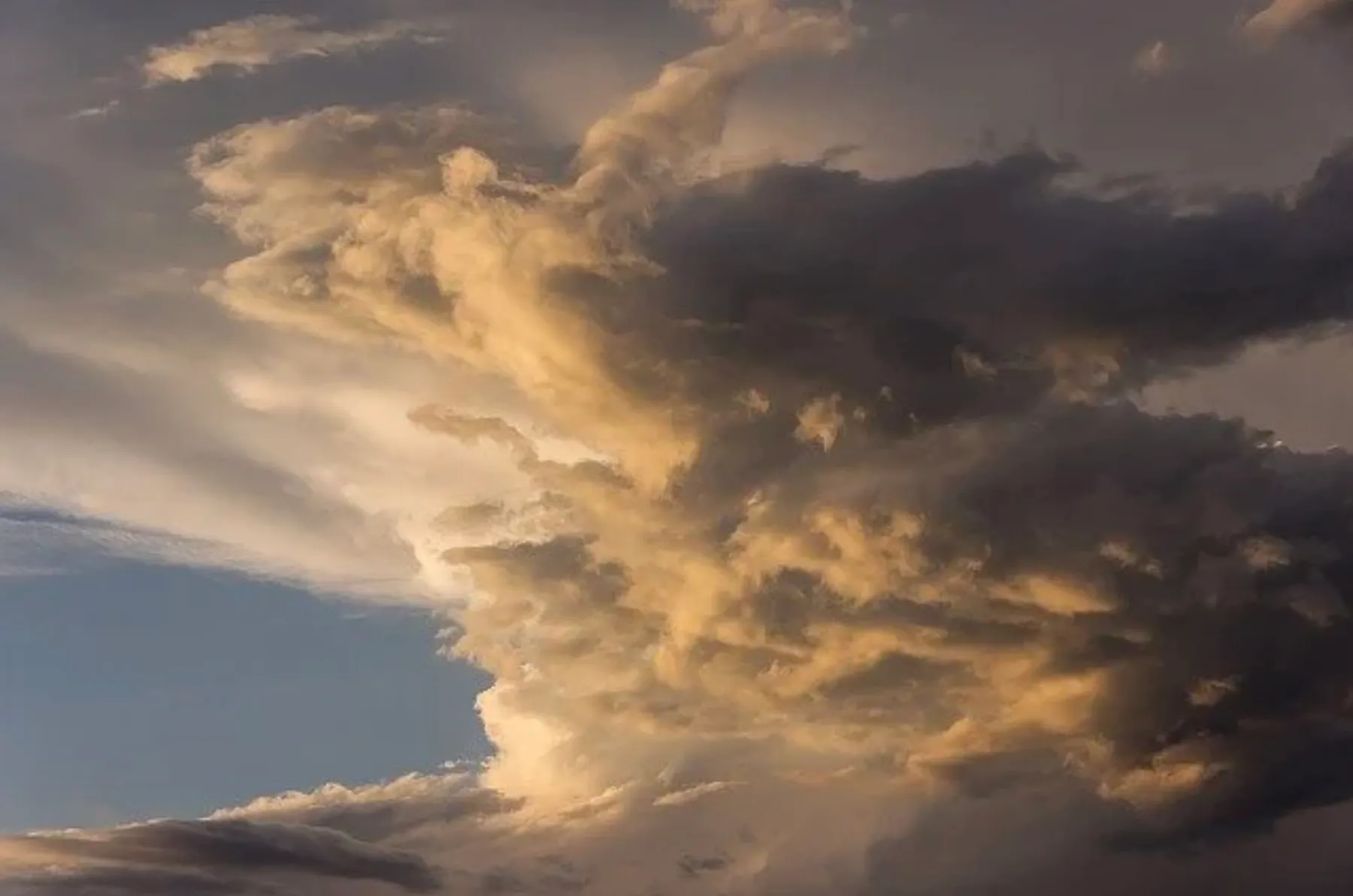 Storm clouds overhead