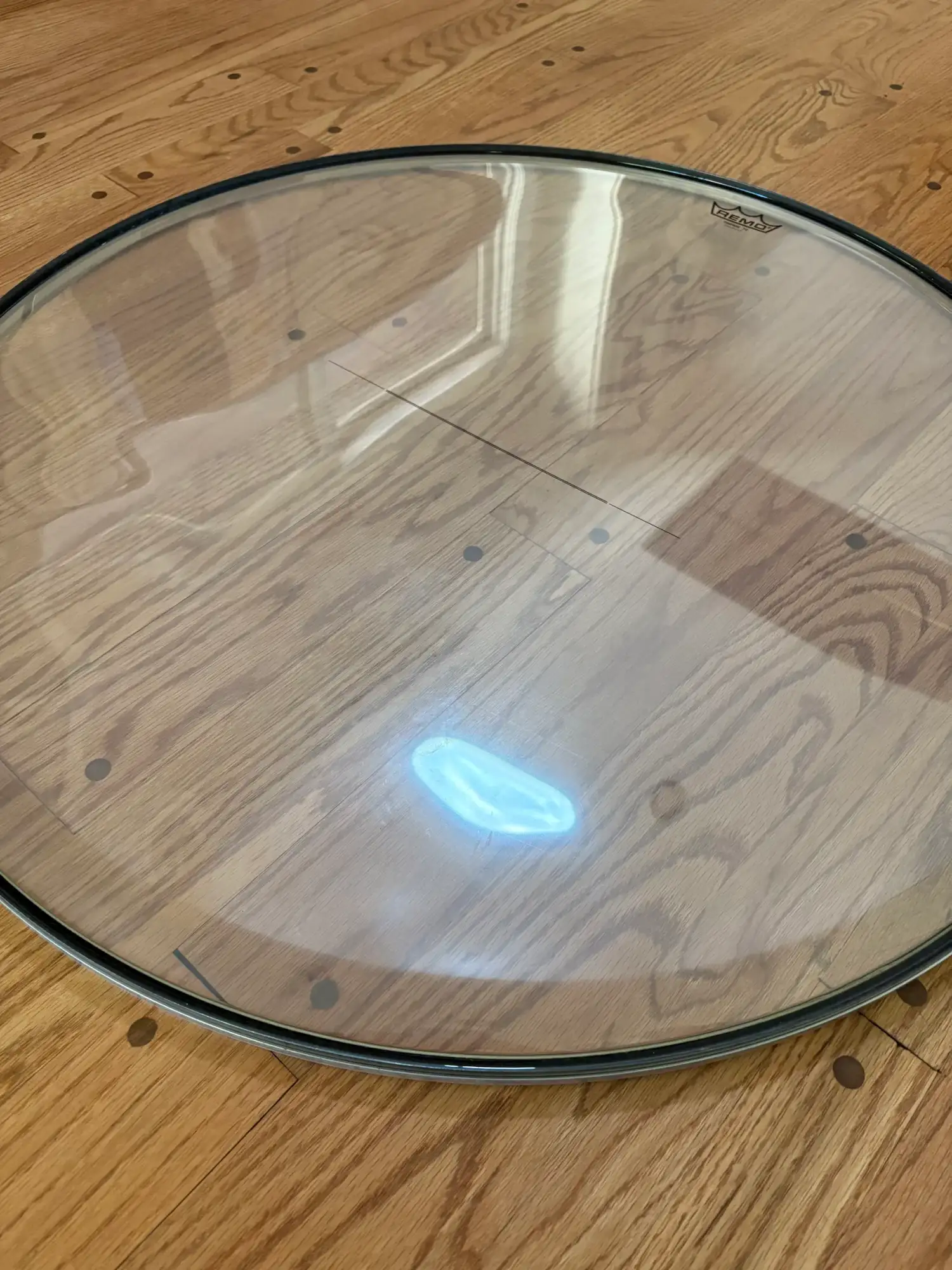 Clear mylar timpani head